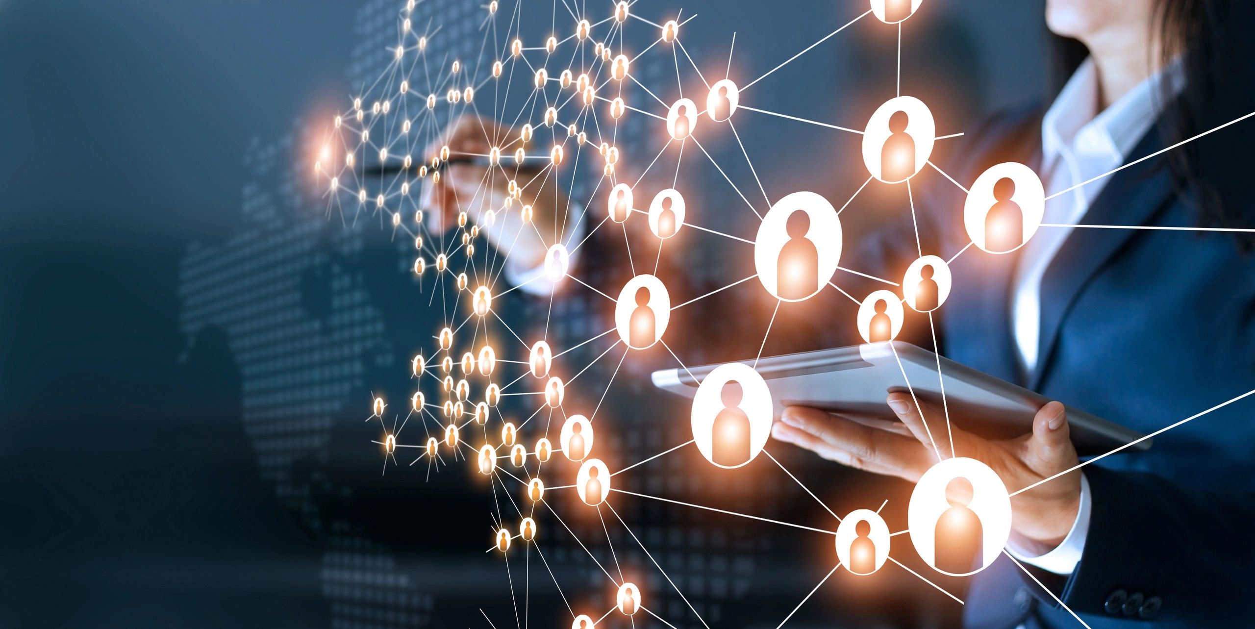 Professional network connected users